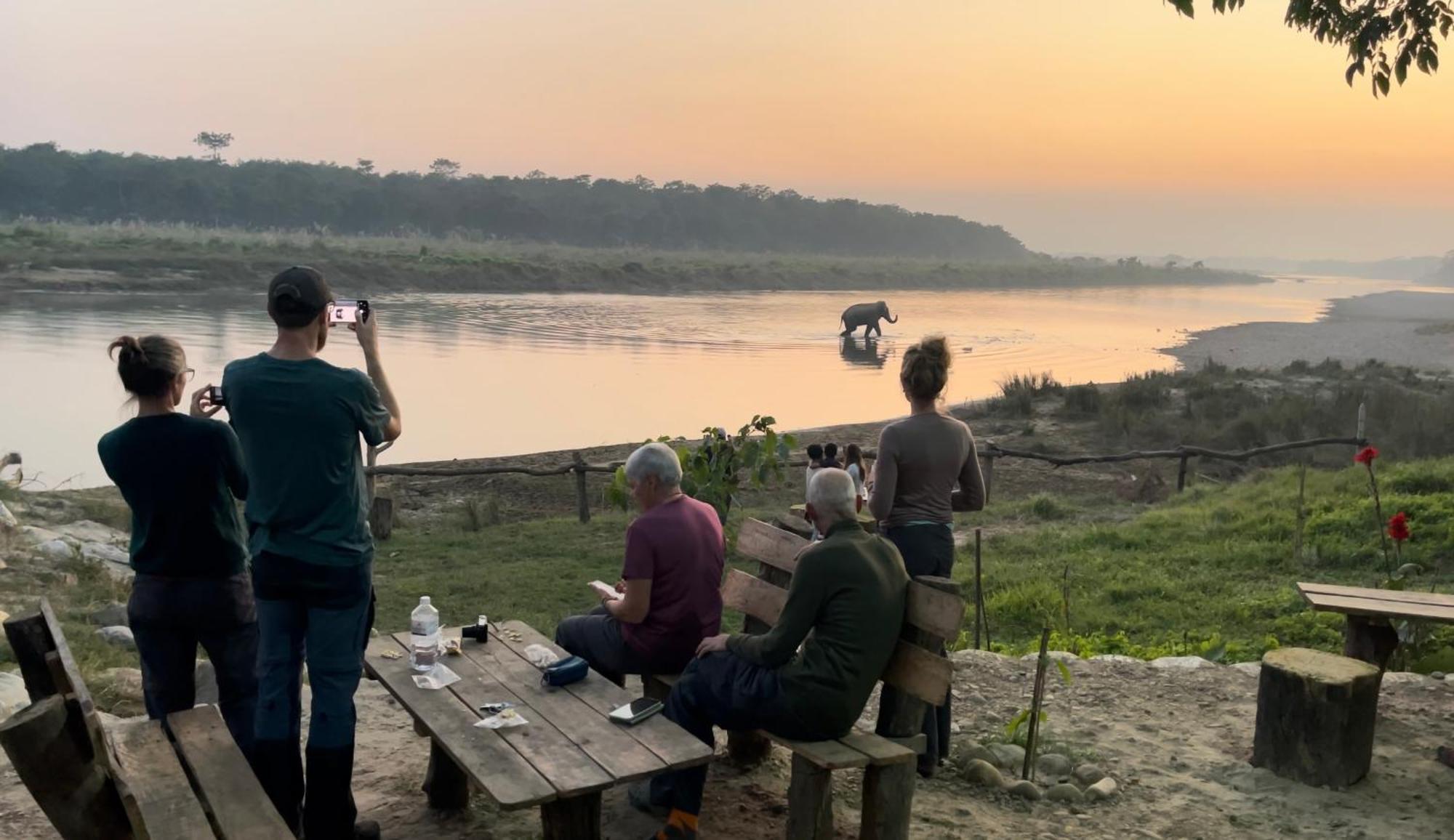 Bamby Chilling House - Feel The Nature Sauraha Exterior photo