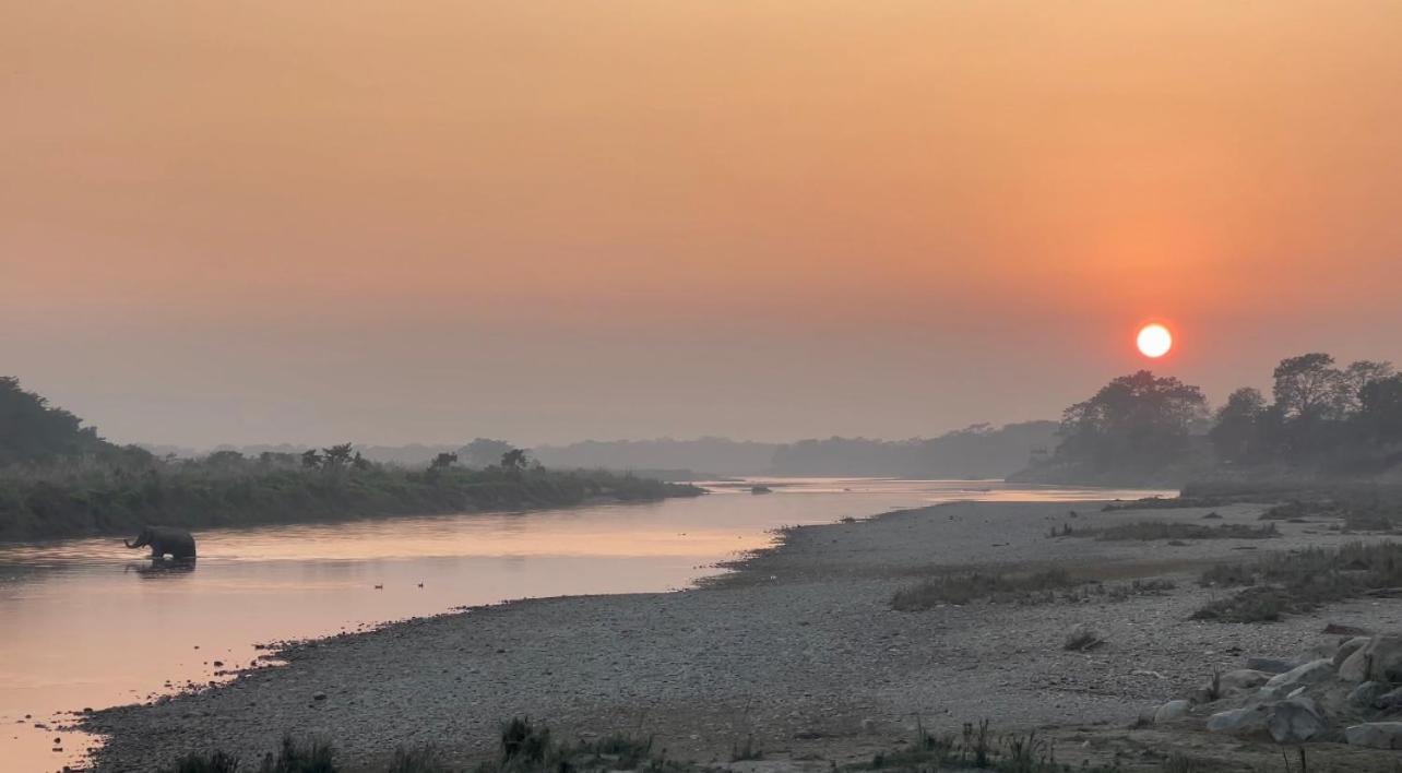 Bamby Chilling House - Feel The Nature Sauraha Exterior photo