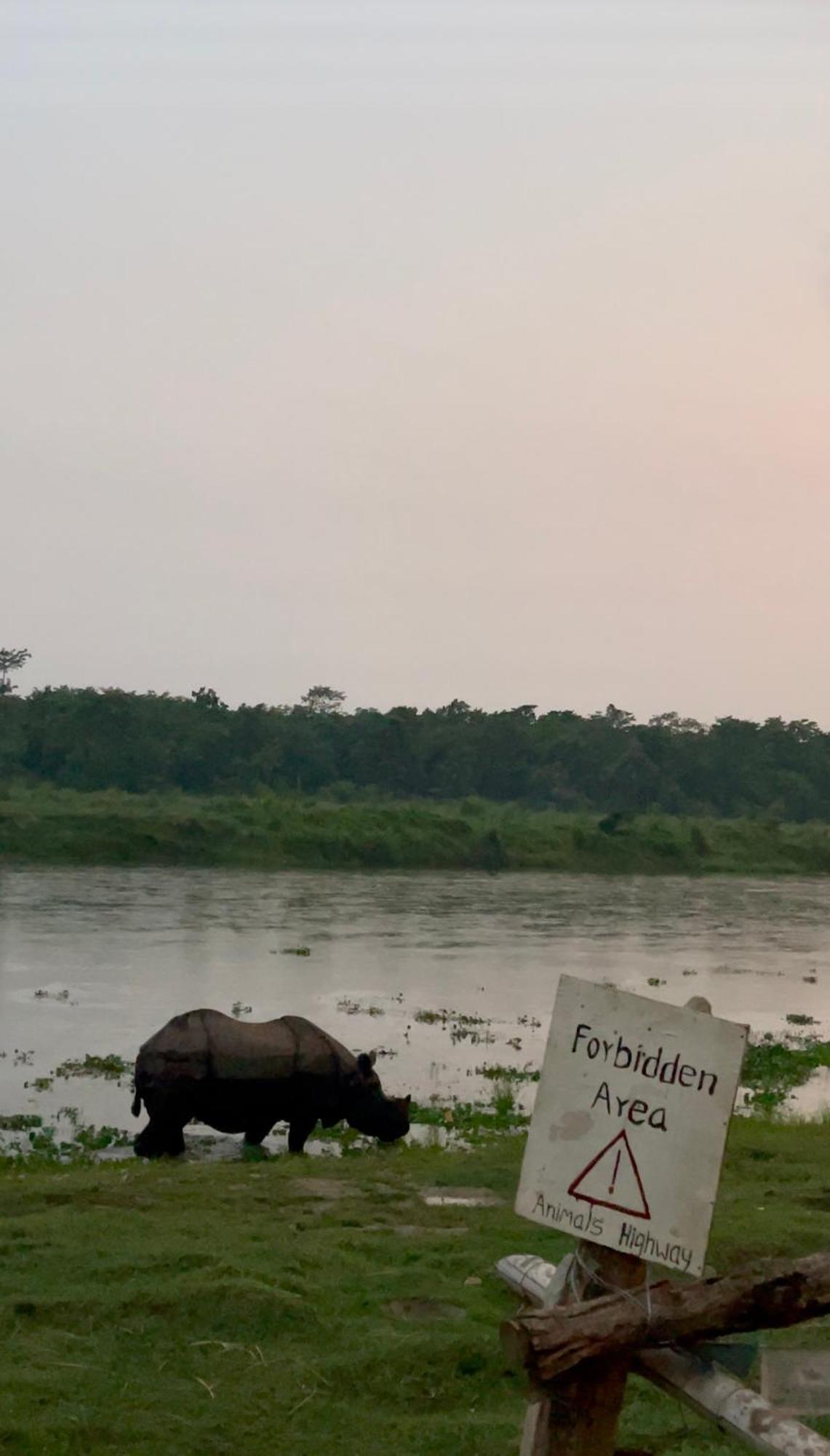 Bamby Chilling House - Feel The Nature Sauraha Exterior photo